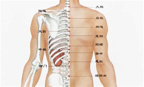 背部很多痣|背上长了很多痣是什么原因呢